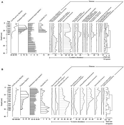 Extrinsic vs. Intrinsic Regimes Shifts in Shallow Lakes: Long-Term Response of Cyanobacterial Blooms to Historical Catchment Phosphorus Loading and Climate Warming